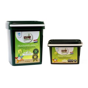 Biotabs SILICIUM FLASH NPK 4-3-3 Silicio, Azoto, Fosforo e Potassio