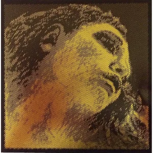 Pirastro Evah Gold SET Violino Con Sol Argento Mi Pallino