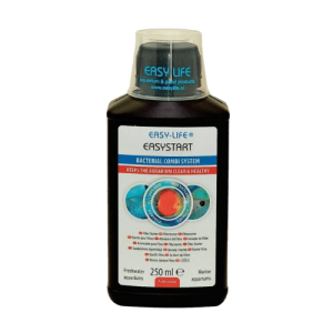 Easy Life – Easy Start